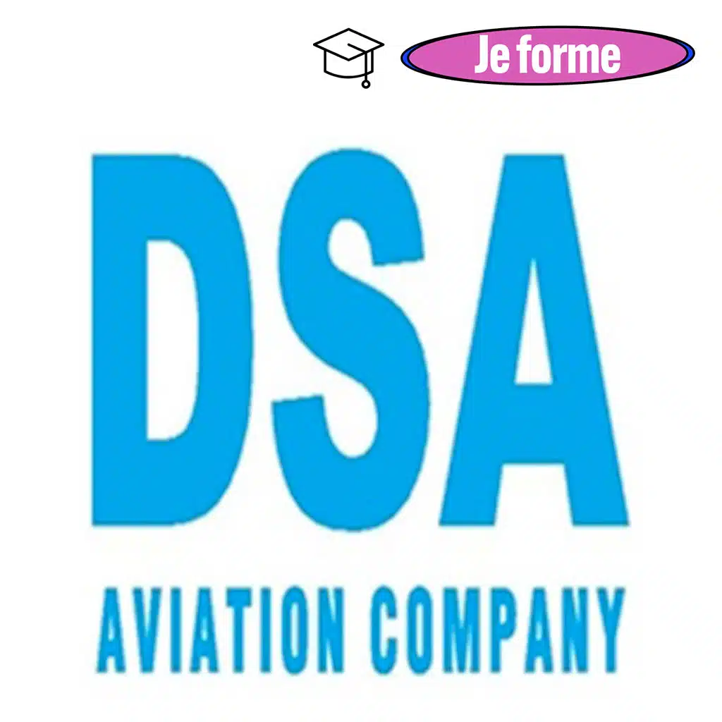 logo 25 dsa aviation company formation