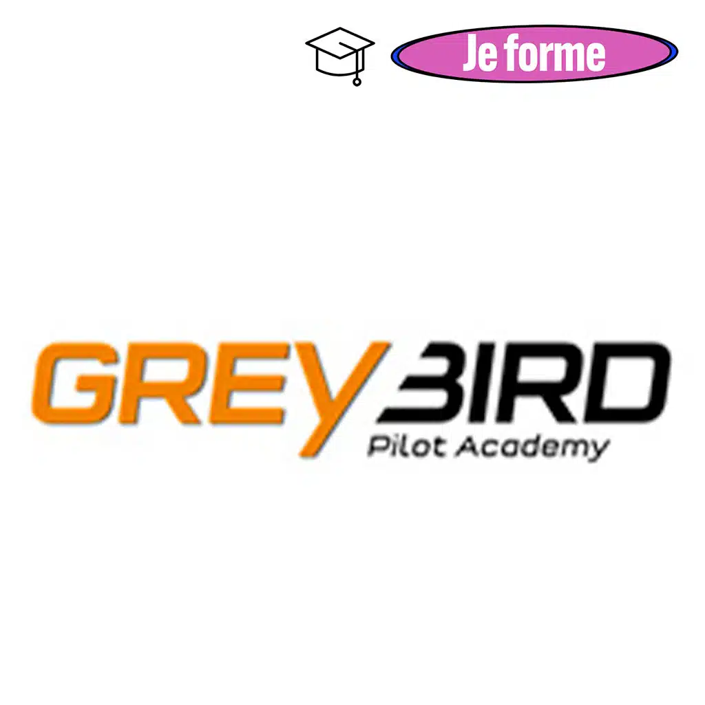 logo 25 greybird pilot academy formation